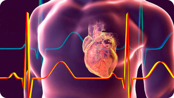 Hearth math o coherencia cardiaca - Medicina funcional - origenes