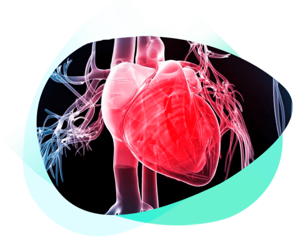 Hearth math o coherencia cardiaca - Medicina funcional - origenes im2