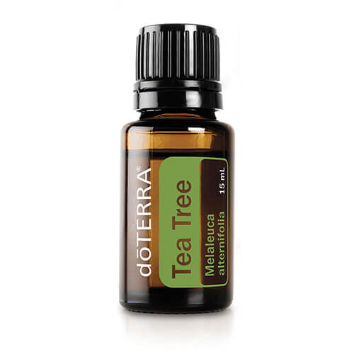 Mezcla de aceites esenciales DigestZen ® Touch Roll On de doTERRA— AAceites  Esenciales