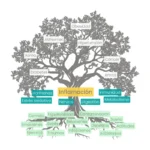 ¿Qué es la Medicina Funcional?