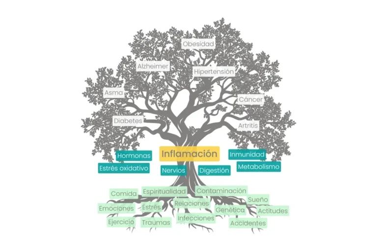 ¿Qué es la Medicina Funcional?