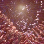 ¿Qué es la microbiota intestinal?