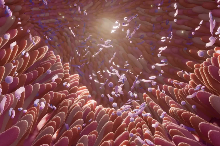 ¿Qué es la microbiota intestinal?