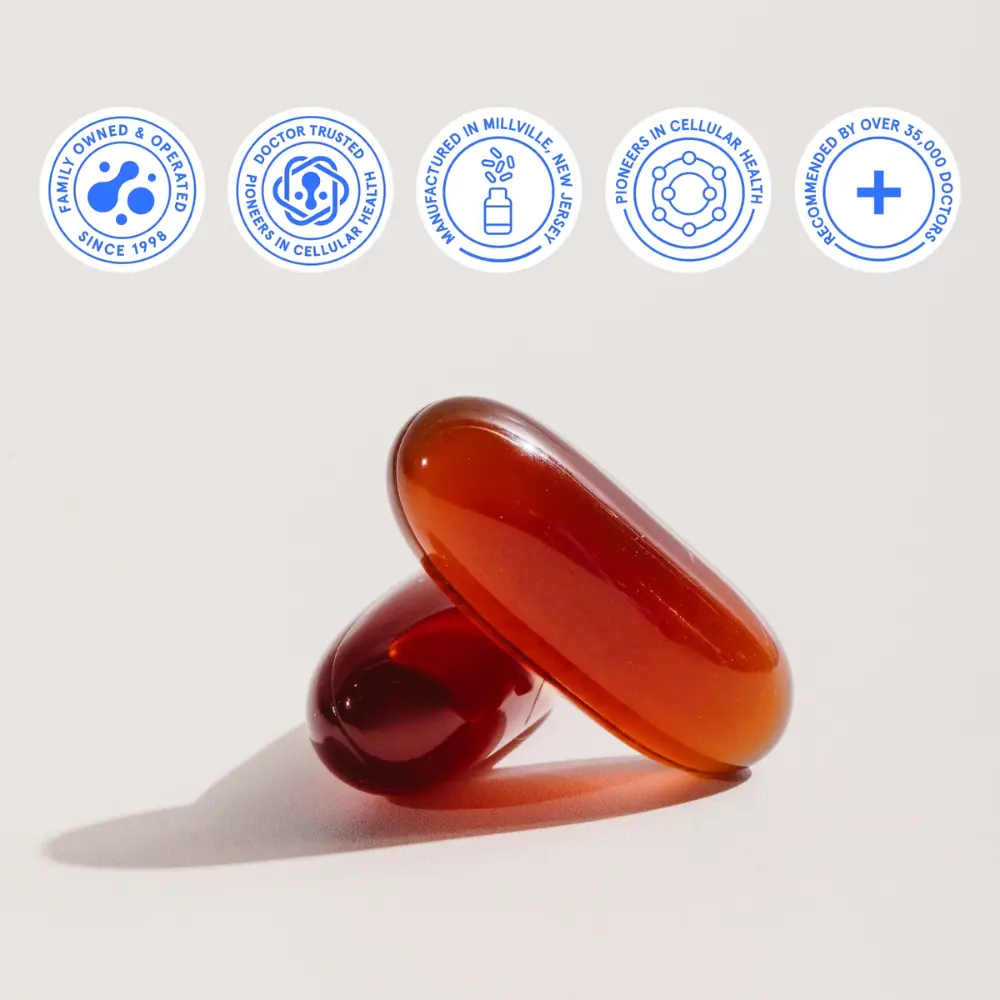 BODYBIO PC - Imagen 3